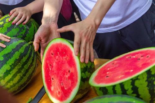 免费吃瓜聚集地,畅享娱乐盛宴的绝佳去处